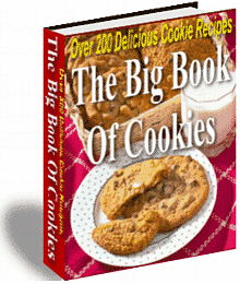 Big Book of Cookies Book